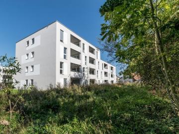 Rent a 4 ½ rooms apartment in Holziken Flatfox
