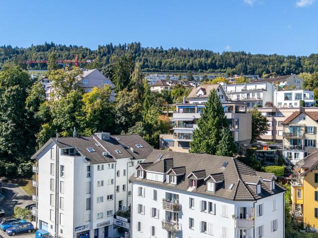 Rent a 4 ½ rooms apartment in Horgen Flatfox