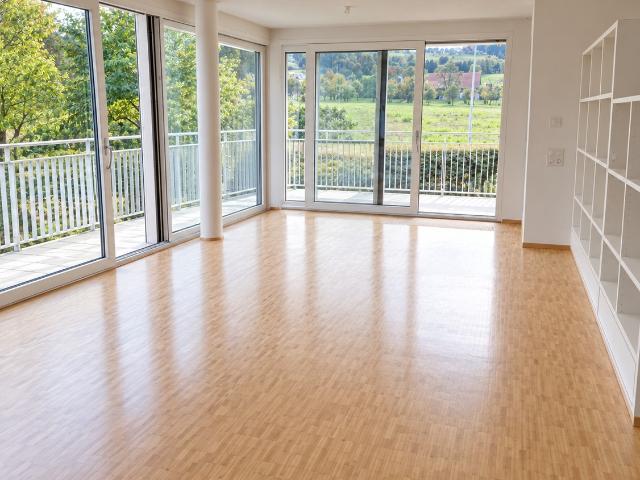 Rent a 4 ½ rooms apartment in Horgen Flatfox