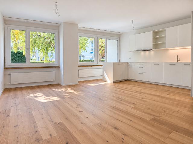Rent a 4 ½ rooms apartment in Horgen Flatfox