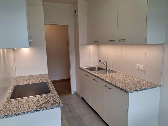 Rent a 4 rooms apartment in Onex Flatfox