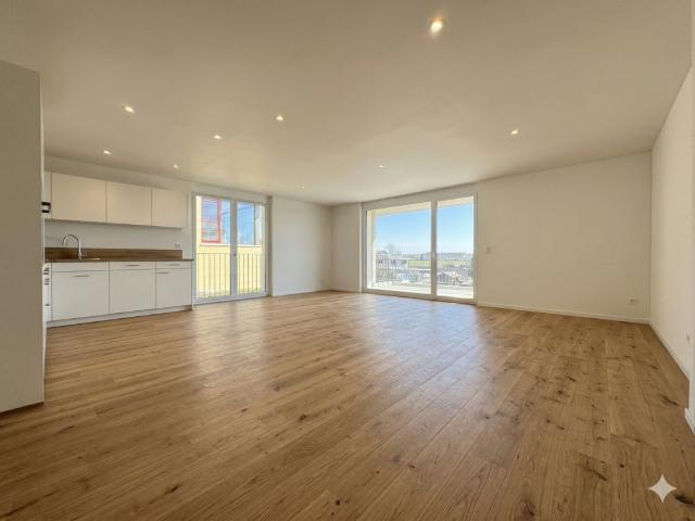 Rent a 4 ½ rooms apartment in Oberbuchsiten Flatfox