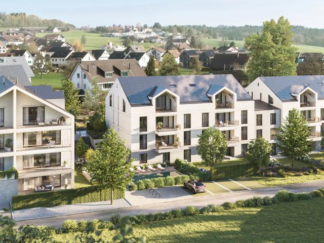 Rent a 4 ½ rooms roof flat in Oberwil Lieli Flatfox