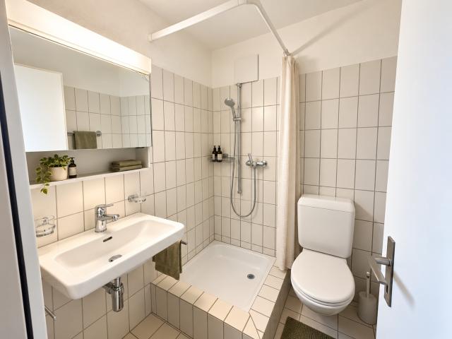 Rent a 4 ½ rooms apartment in Obfelden Flatfox