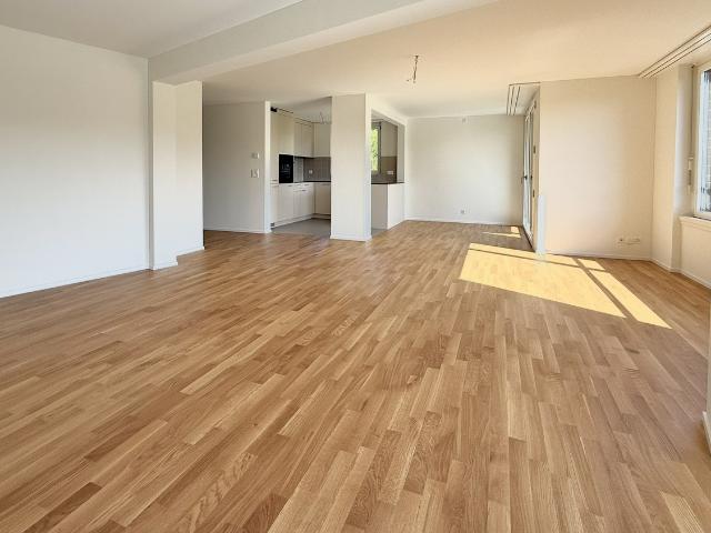 Rent a 4 ½ rooms apartment in Opfikon Flatfox