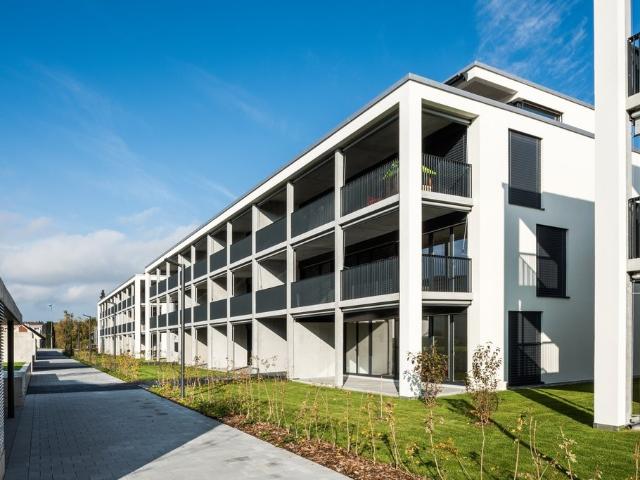 Rent a 4 ½ rooms apartment in Laupen Flatfox