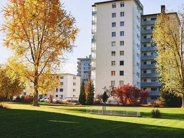 Rent a 4 rooms apartment in Langenthal Flatfox
