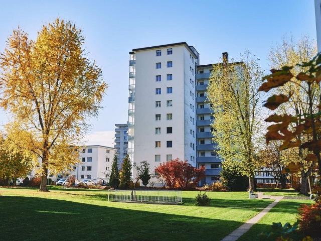 Rent a 4 rooms apartment in Langenthal Flatfox