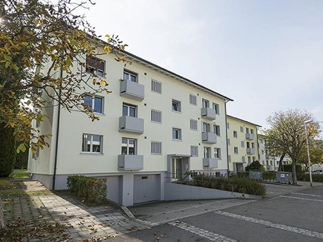 Rent a 4 ½ rooms apartment in Lenzburg Flatfox
