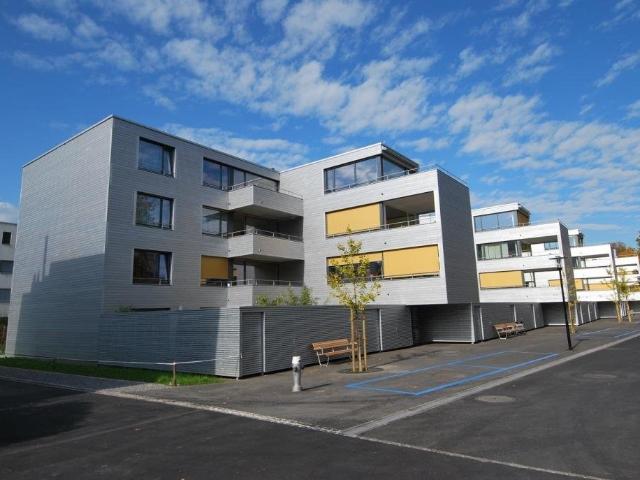 Rent a 4 ½ rooms apartment in Lenzburg Flatfox