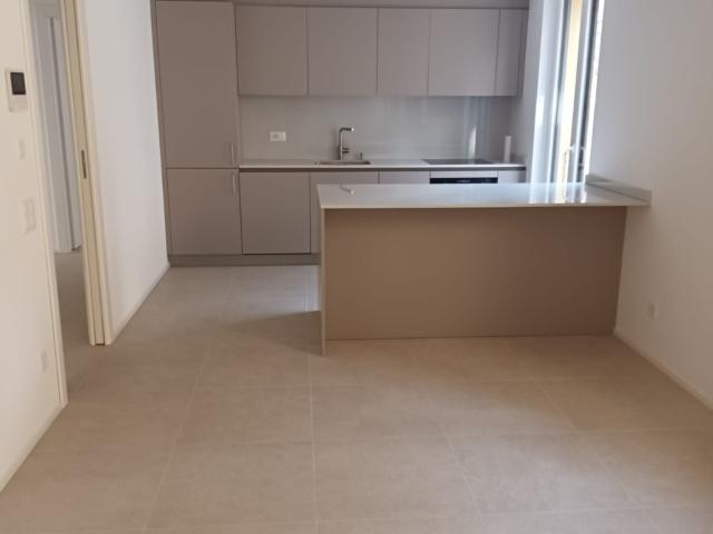 Rent a 4 ½ rooms apartment in Lugano Flatfox