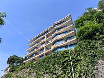 Rent a 4 ½ rooms apartment in Lugano Flatfox