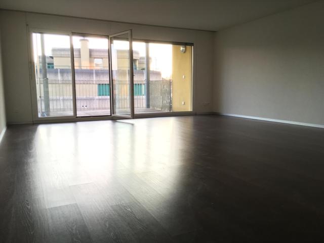 Rent a 4 ½ rooms apartment in Lyss Flatfox