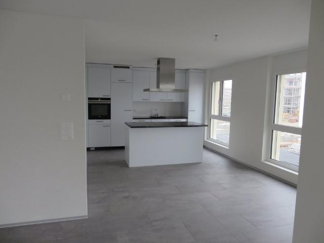 Rent a 4 ½ rooms apartment in Lyss Flatfox