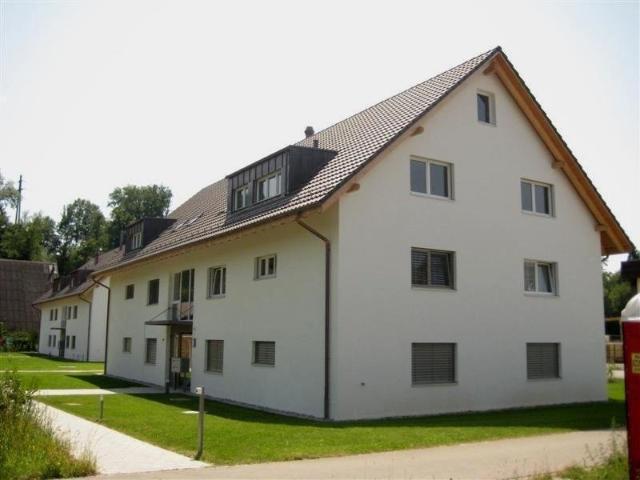 Rent a 4 ½ rooms apartment in Mülligen Flatfox