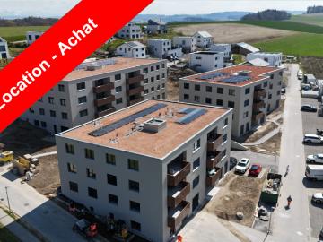 Rent a 4 ½ rooms apartment in Murist Flatfox