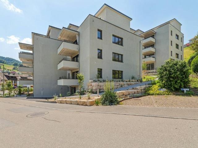 Rent a 4 ½ rooms apartment in Niederdorf Flatfox