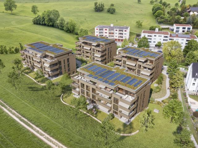 Rent a 4 ½ rooms apartment in Niederdorf Flatfox