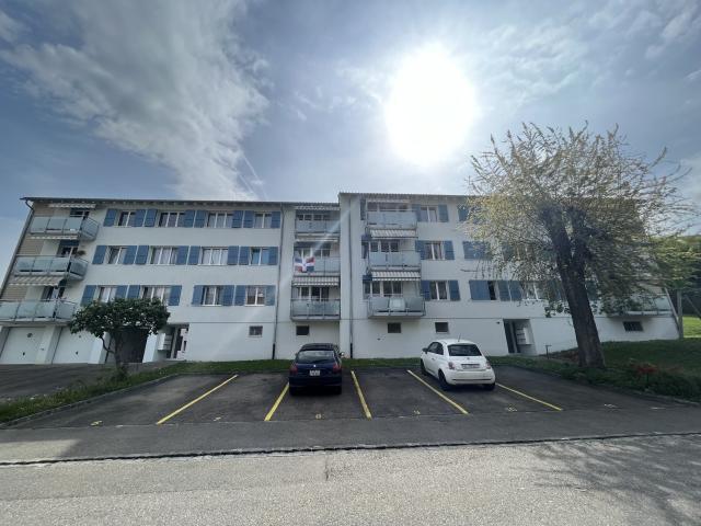 Rent a 4 ½ rooms apartment in Niederdorf Flatfox