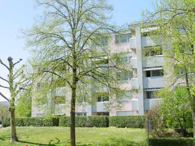 Rent a 4 ½ rooms apartment in Niederhasli Flatfox