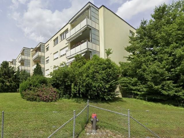 Rent a 4 ½ rooms apartment in Niederhasli Flatfox