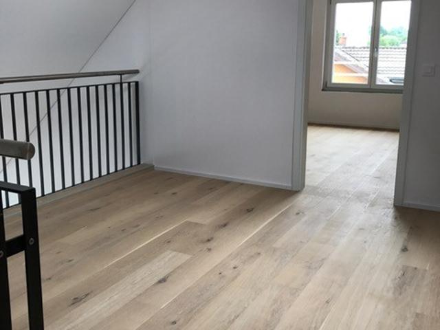 Rent a 4 ½ rooms apartment in Niederuzwil Flatfox