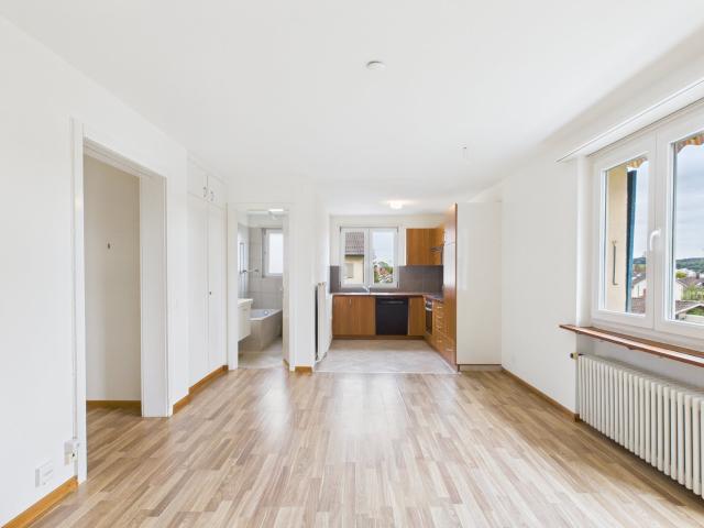 Rent a 4 ½ rooms apartment in Solothurn Flatfox