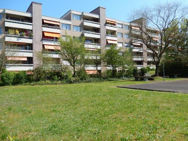 Rent a 4 ½ rooms apartment in Schaffhausen Flatfox
