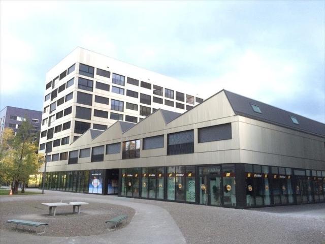 Rent a 4 rooms apartment in Schlieren Flatfox