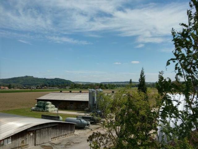 Rent a 4 ½ rooms apartment in Schwadernau Flatfox