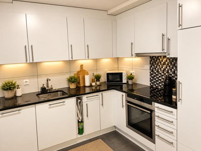 Rent a 4 ½ rooms apartment in Studen Flatfox