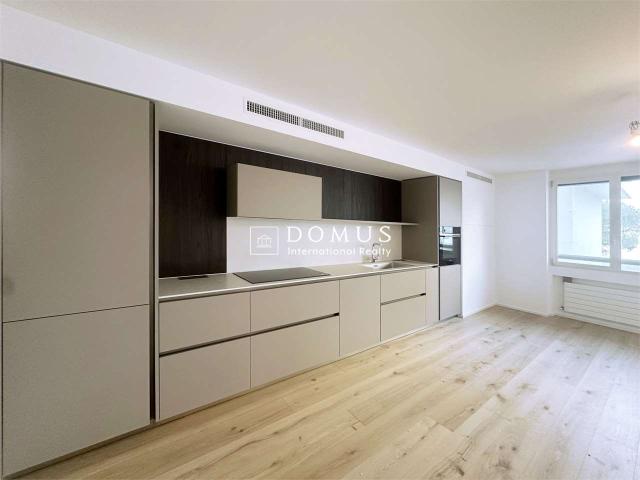 Rent a 4 ½ rooms apartment in Paradiso Flatfox