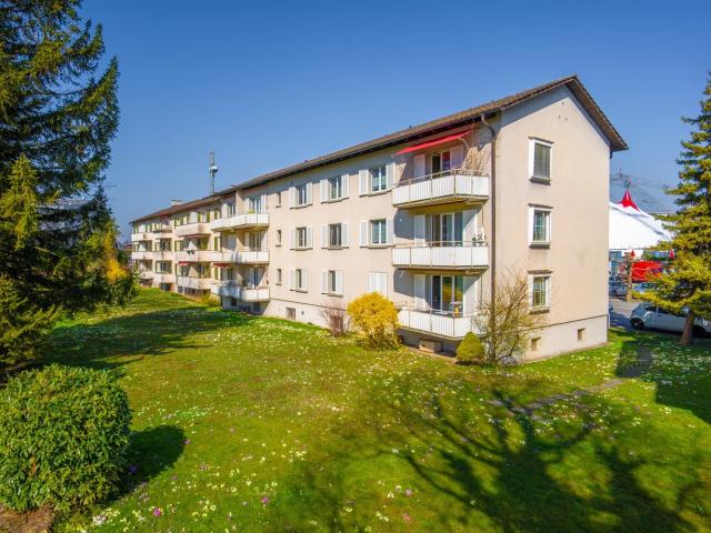 Rent a 4 rooms apartment in Rapperswil Flatfox