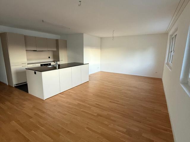Rent a 4 ½ rooms apartment in Rebstein Flatfox