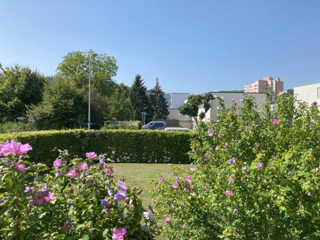 Rent a 4 rooms apartment in Regensdorf Flatfox