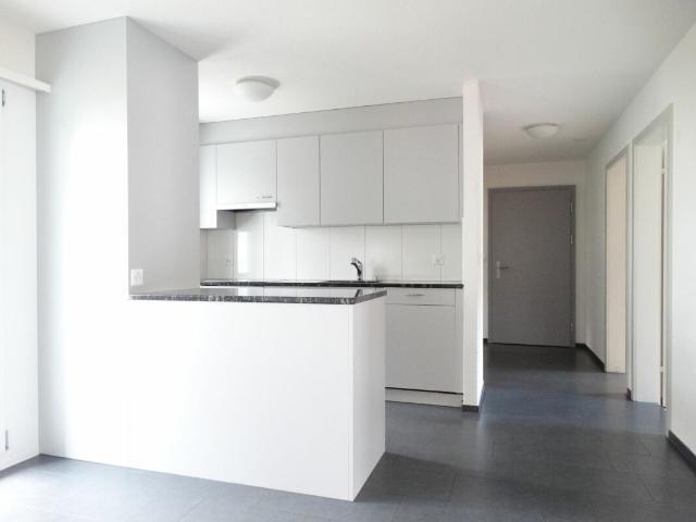 Rent a 4 ½ rooms apartment in Reiden Flatfox