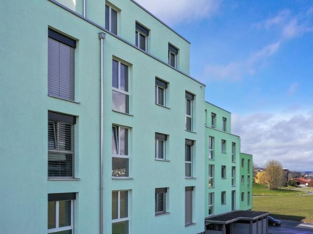 Rent a 4 ½ rooms apartment in Reinach Flatfox