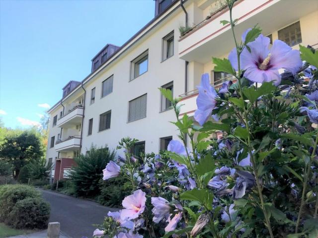 Rent a 4 rooms apartment in Riehen Flatfox