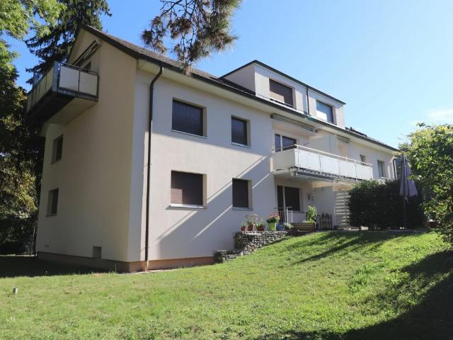 Rent a 4 rooms apartment in Riehen Flatfox