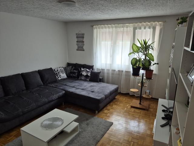 Rent a 4 rooms apartment in Wohlen AG Flatfox