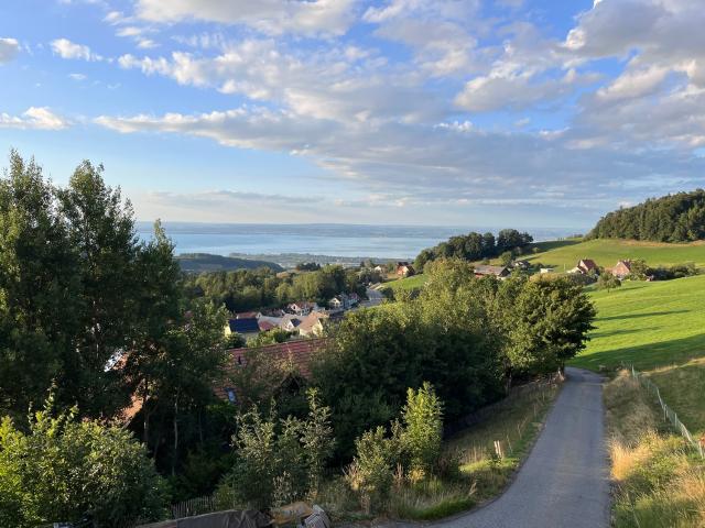 Rent a 4 ½ rooms apartment in Wolfhalden Flatfox