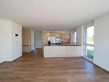 Rent a 4 ½ rooms apartment in Wolfwil Flatfox