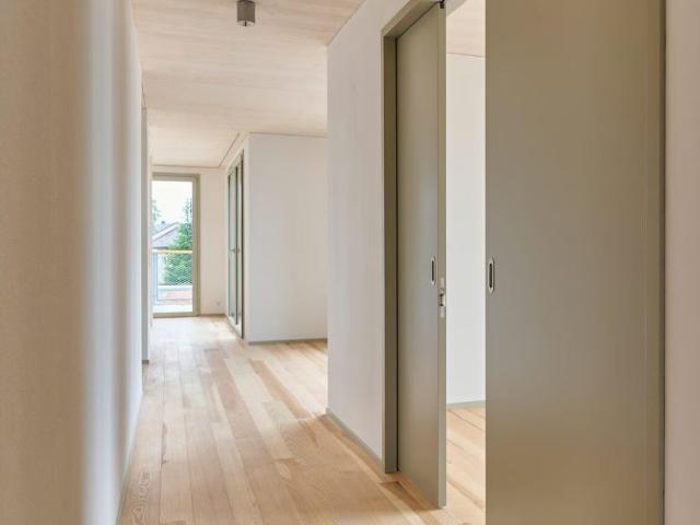 Rent a 4 ½ rooms apartment in Wallisellen Flatfox