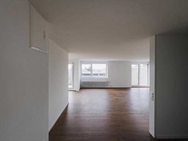 Rent a 4 ½ rooms apartment in Wallisellen Flatfox