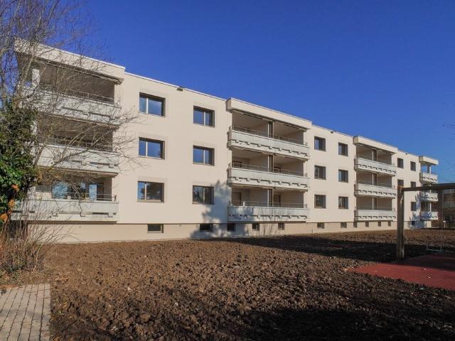 Rent a 4 ½ rooms apartment in Widen Flatfox