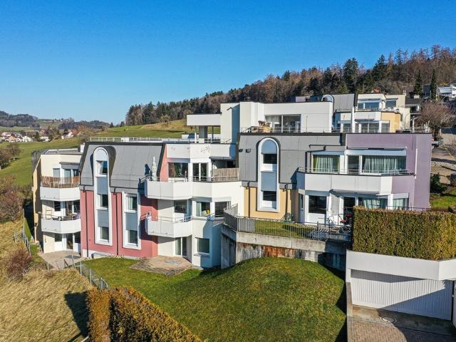 Rent a 4 ½ rooms apartment in Wil Flatfox
