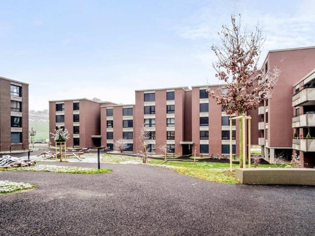 Rent a 4 ½ rooms apartment in Winkel Flatfox