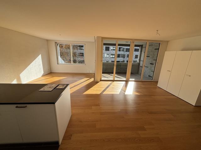 Rent a 4 ½ rooms apartment in Winterthur Flatfox