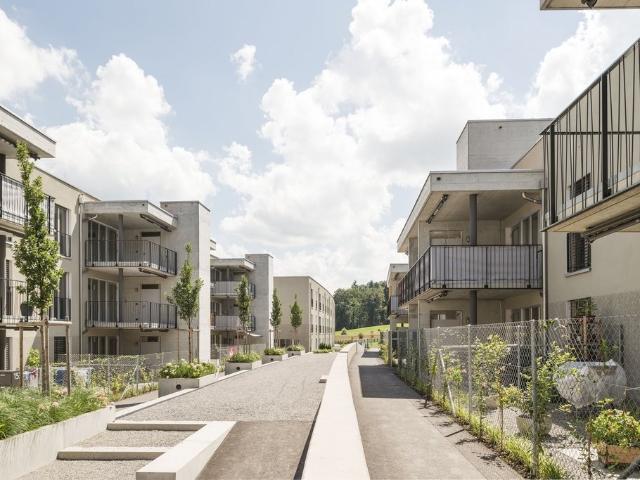 Rent a 4 ½ rooms apartment in Winterthur Flatfox