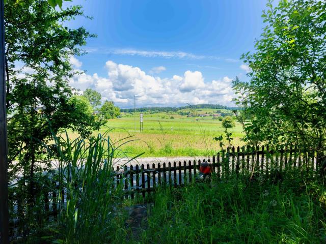 Rent a 4 ½ rooms apartment in Winterthur Flatfox